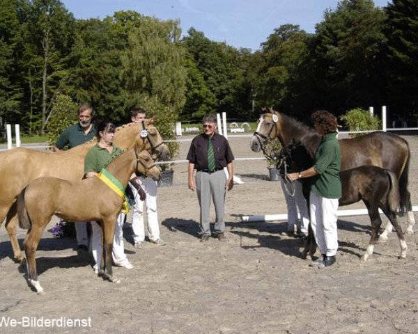 broodmare McD Royalty De Luxe (German Riding Pony, 2011, from FS Champion de Luxe)