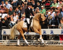 broodmare MCD Golden Surprise (German Riding Pony, 2008, from Genesis B)