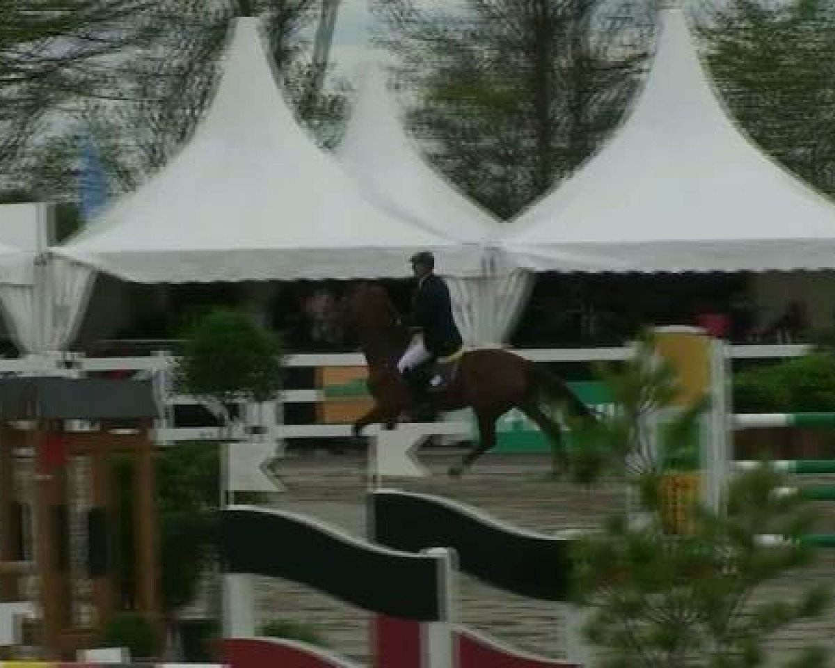 broodmare Fiona (Luxembourg horse, 2005, from For Pleasure)