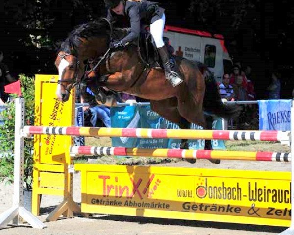 jumper Carlos 514 (Hanoverian, 2004, from Competent)