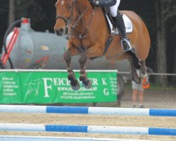 jumper Rahmannshof's Zwitser (KWPN (Royal Dutch Sporthorse), 2004, from Lupicor)