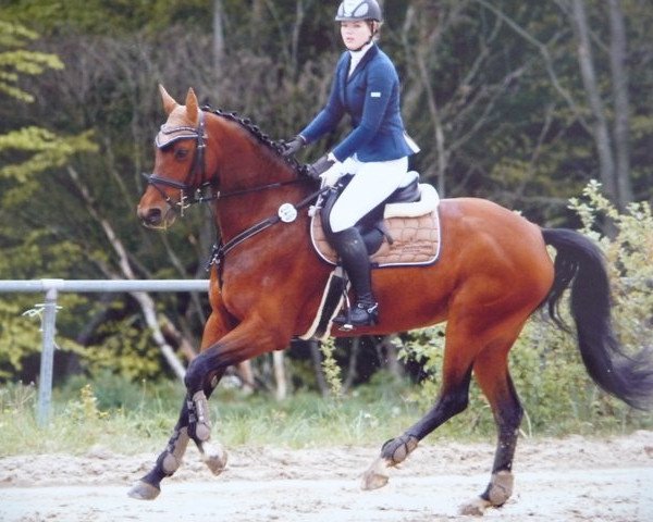 dressage horse Dalyne (Brandenburg, 2001, from Don Rosario)