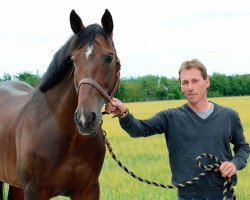 stallion Magnus Romeo (Argentinian horse, 2001, from Royal Feu)