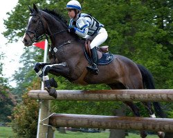 horse Lanfranco TSF (Trakehner, 2000, from Bulrush xx)