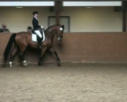 dressage horse Ferero Küsschen (Westphalian, 2004, from Florestan I)