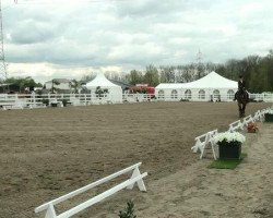 dressage horse Festus 148 (Westphalian, 2004, from Farewell II)