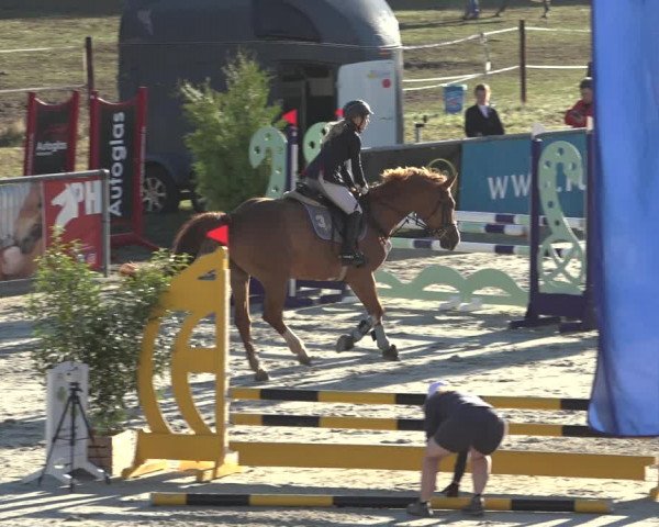 Reitturnier Wildeshausen 2022