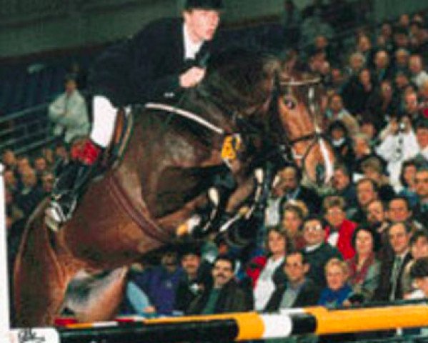 stallion Goodtimes (KWPN (Royal Dutch Sporthorse), 1988, from Nimmerdor)