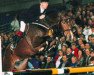 Pferd Goodtimes (Koninklijk Warmbloed Paardenstamboek Nederland (KWPN), 1988, von Nimmerdor)