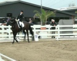 dressage horse Revee le Vision (Hanoverian, 2002, from Roadster)