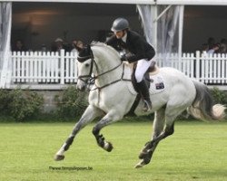 stallion Bella Baloubet (Holsteiner, 2001, from Baloubet du Rouet)