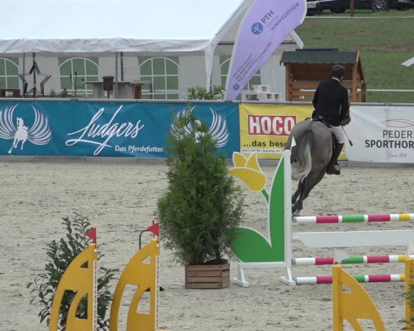 Reitturnier Wildeshausen 2022