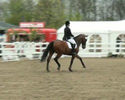 dressage horse Lemon Prince (Hanoverian, 1994, from Lemon Park)