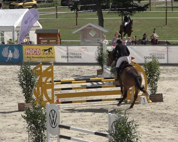 Reitturnier Wildeshausen 2022
