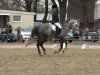 dressage horse Weltmichel (Hanoverian, 2001, from Weltmeyer)