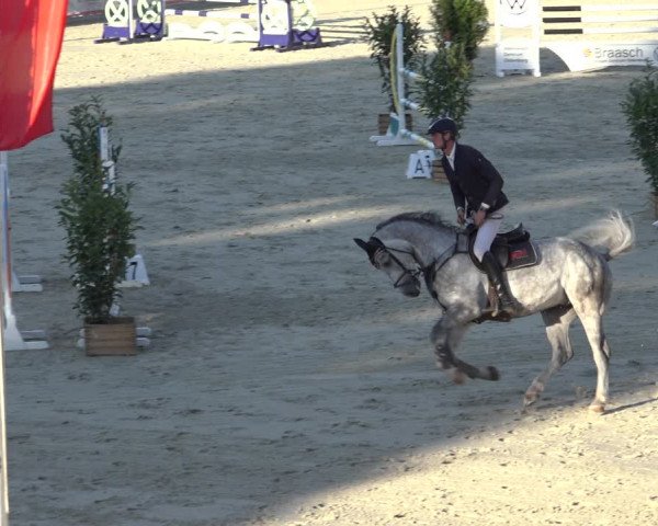 Reitturnier Wildeshausen 2022