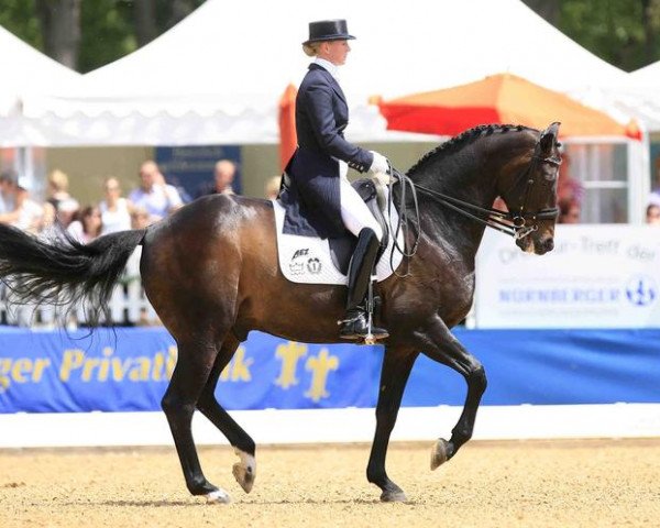 dressage horse Digby (Danish Warmblood, 1997, from Donnerhall)
