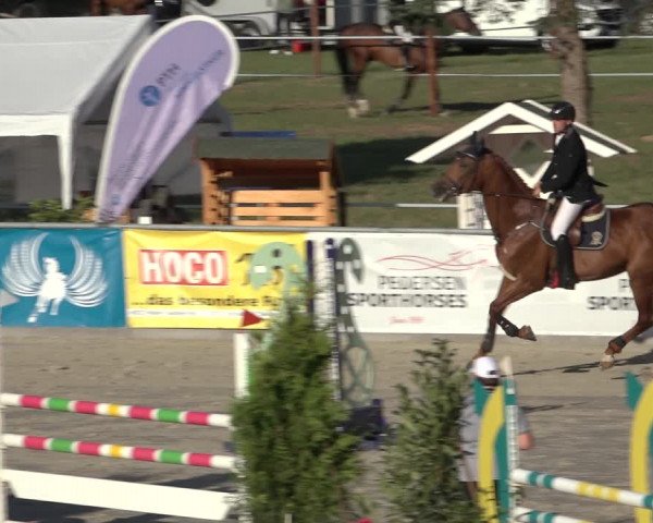 Reitturnier Wildeshausen 2022