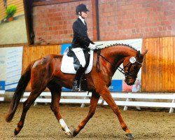 dressage horse Reland (German Sport Horse, 2007, from Relius)