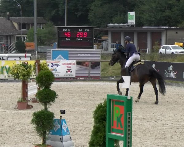 Reitturnier Schüpfheim 2022