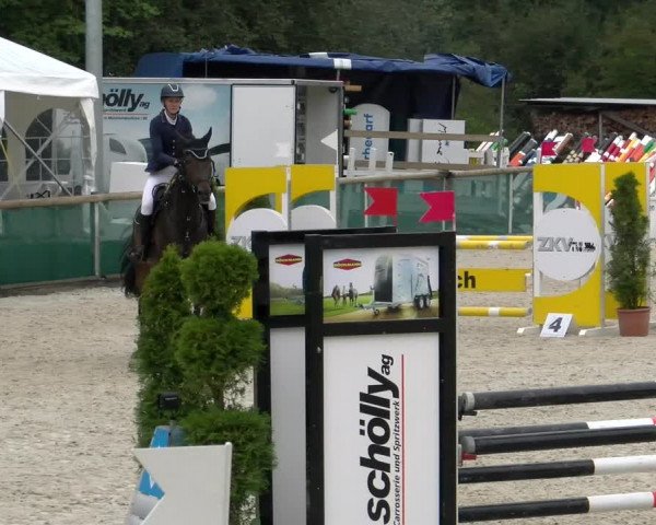 Reitturnier Schüpfheim 2022