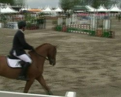 jumper Coronation 6 (Holsteiner, 2007, from Coriano)