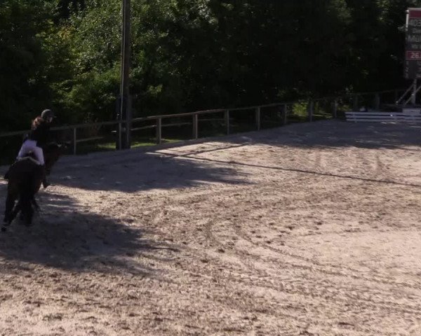Reitturnier Monschau-Mützenich 2022