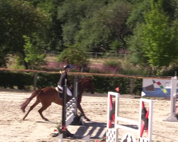 Reitturnier Monschau-Mützenich 2022
