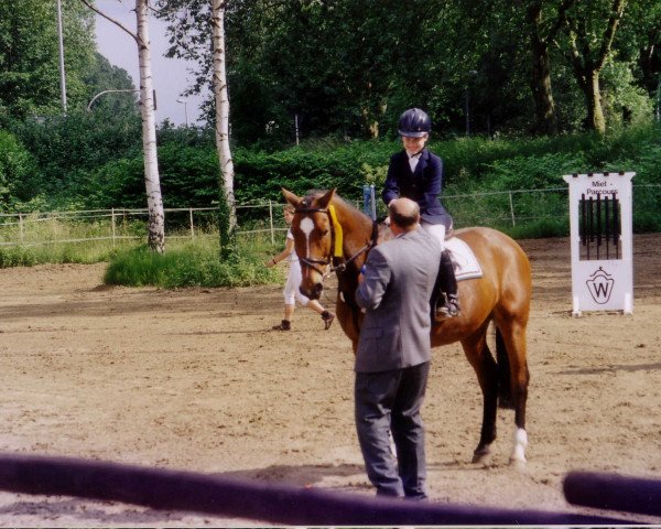 Pferd Gambler (Westfale, 1985, von Goldrausch II)