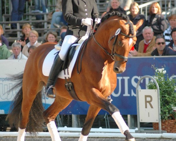 dressage horse Alassio's Boy (Bavarian, 2002, from Alassio)