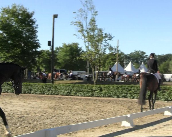 Reitturnier Olfen-Vinnum 2022