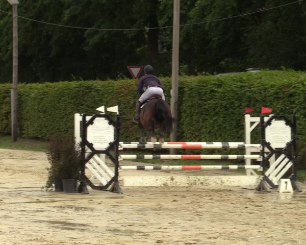 Reitturnier Olfen-Vinnum 2022