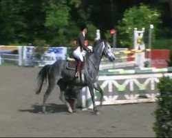 jumper Argo 54 (Polish Warmblood, 2004, from Fred)