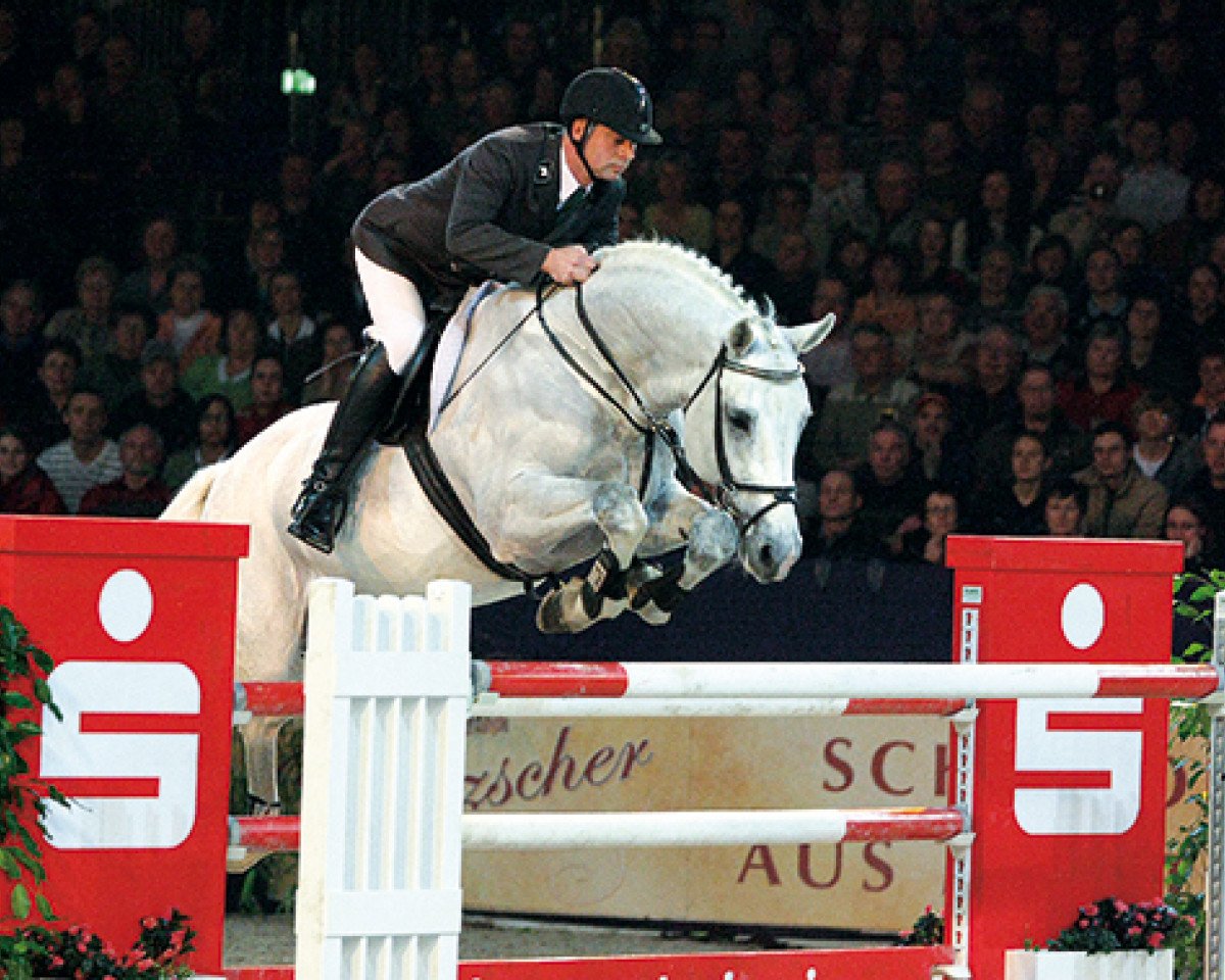 stallion Carpalo (Holsteiner, 1998, from Carpaccio)