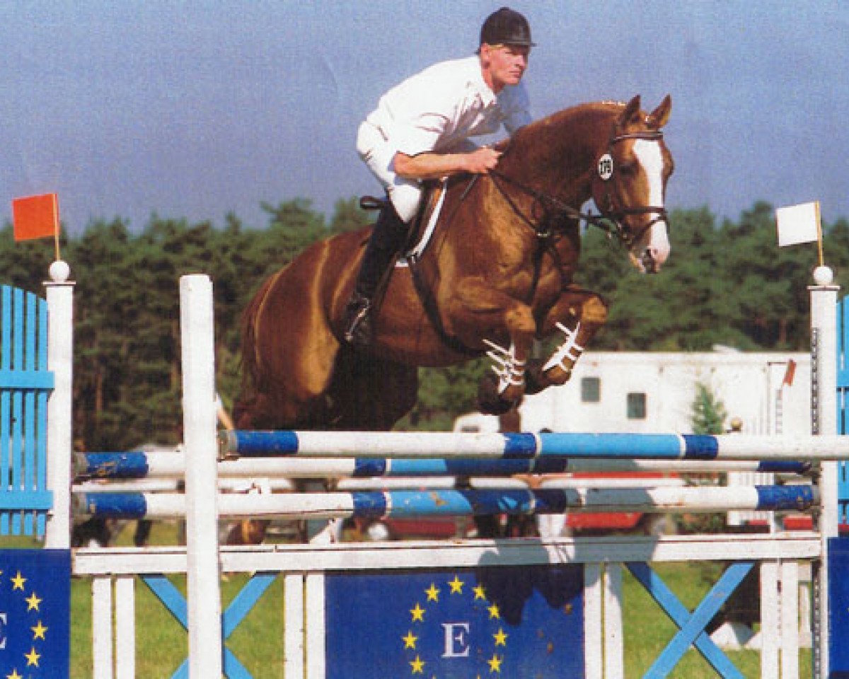 Deckhengst Graziello (Trakehner, 1991, von Amiego)