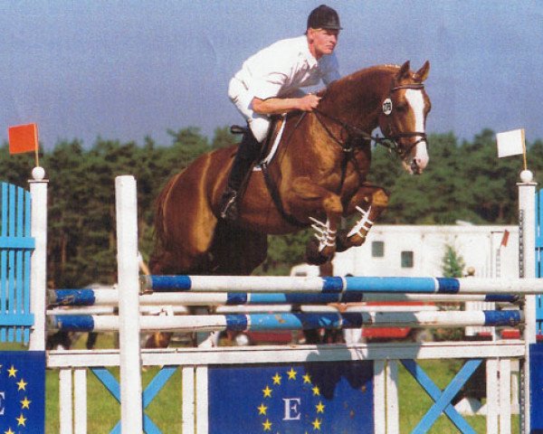 stallion Graziello (Trakehner, 1991, from Amiego)