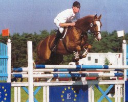 stallion Graziello (Trakehner, 1991, from Amiego)