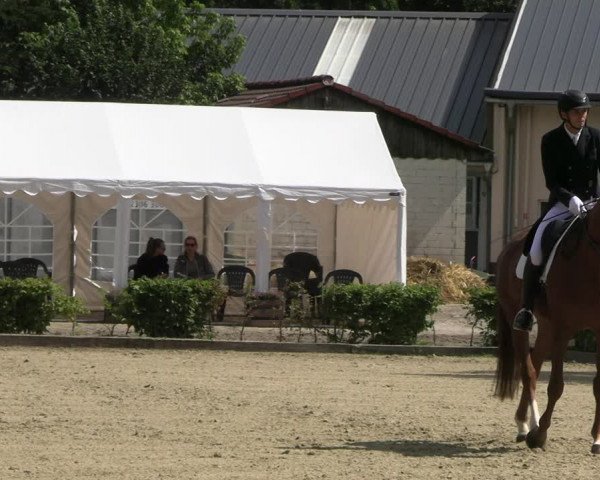 Reitturnier Olfen-Vinnum 2022