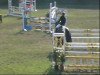 jumper La Croix (Austrian Warmblood, 2000, from Lapollo)