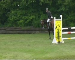 jumper Caspaya du Laubry (Oldenburg, 2006, from Champ of Class)