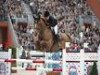 jumper Titus (KWPN (Royal Dutch Sporthorse), 2000, from Lancelot)