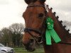 dressage horse La vie est belle (Westphalian, 2001, from Lamoureux II)