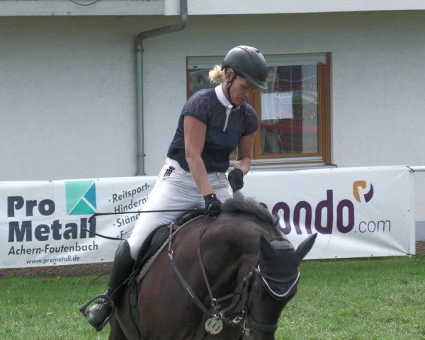 Reitturnier Nussbach 2022