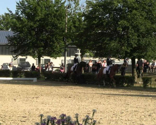 Reitturnier Olfen-Vinnum 2022
