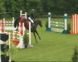 jumper Lybell du Bree (Hanoverian, 2006, from Landjonker (Fruhling))