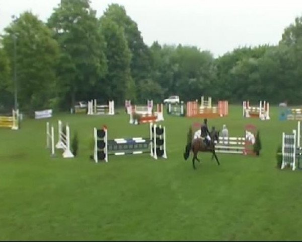 horse Come Back 23 (Oldenburg show jumper, 2003, from Centesimo I)