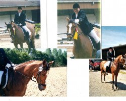 jumper Parodie 258 (Hanoverian, 1993, from Polany)