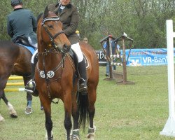 jumper Wanja (Hanoverian, 2000, from Welser)