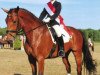 dressage horse Con Courage (Holsteiner, 2003, from Concept)