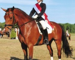 dressage horse Con Courage (Holsteiner, 2003, from Concept)